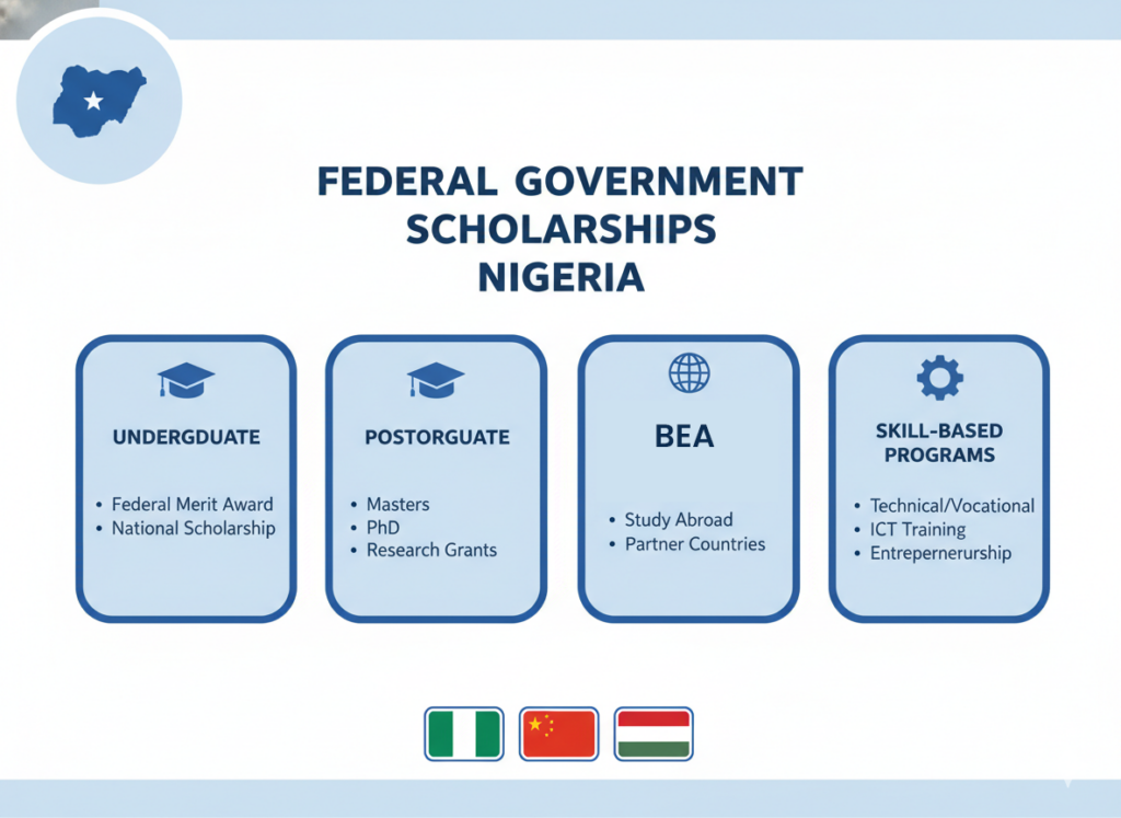 Infographic showing types of federal government scholarships in Nigeria, helping readers understand how to apply for federal government scholarships in Nigeria across different categories.